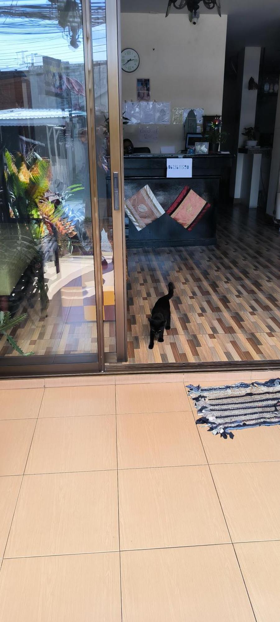 Patong Kanpai Hotel מראה חיצוני תמונה